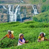 Discover the Magic of Sri Lanka