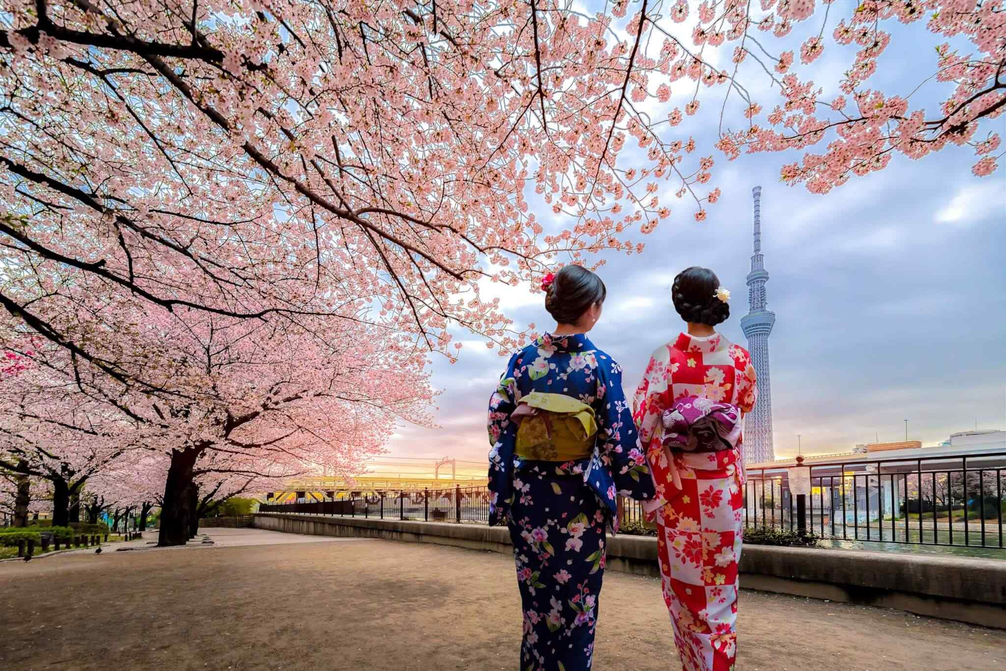 https://visitsrilanka360.com/wp-content/uploads/2018/09/destination-tokyo-03.jpg