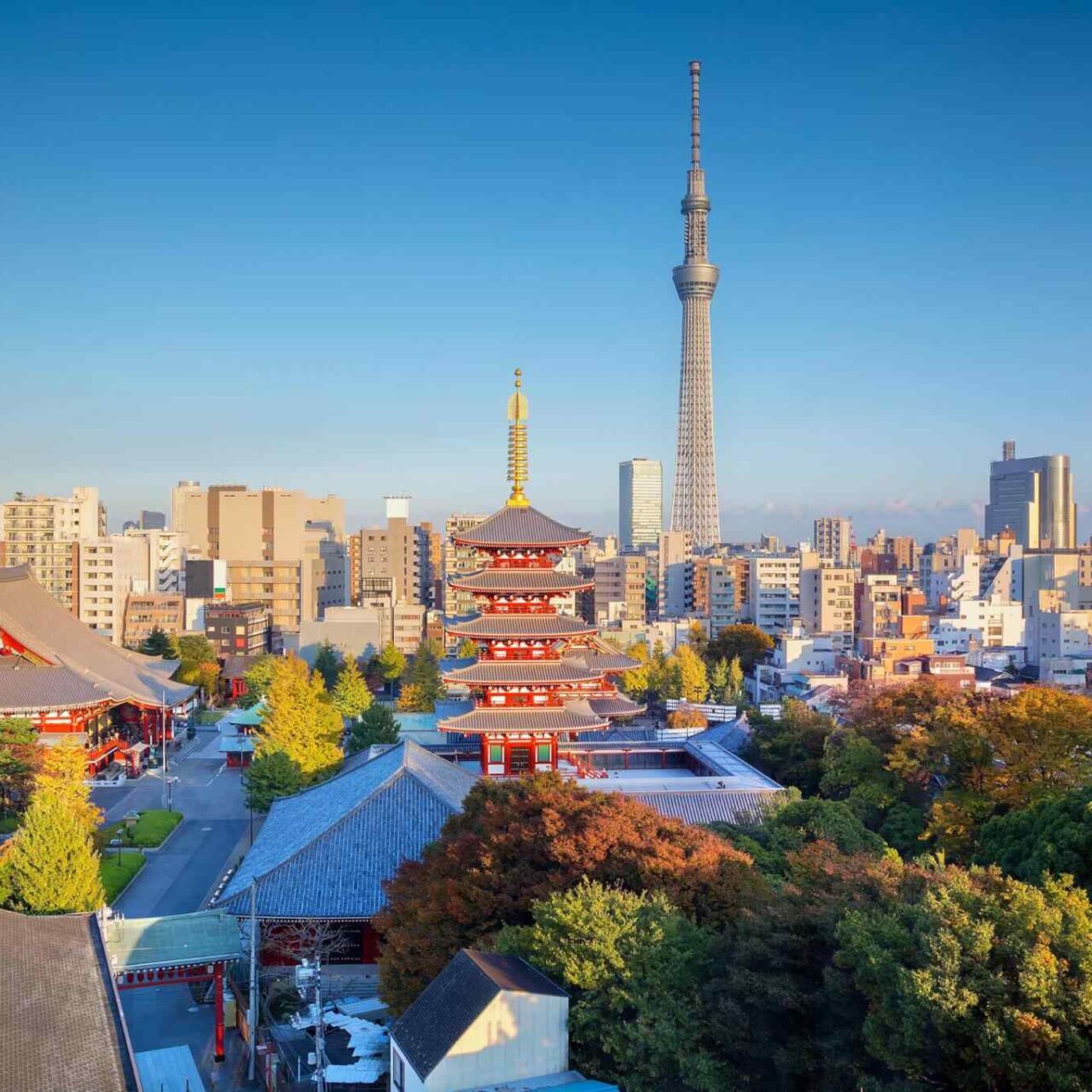 https://visitsrilanka360.com/wp-content/uploads/2018/09/destination-tokyo-04-1280x1280.jpg