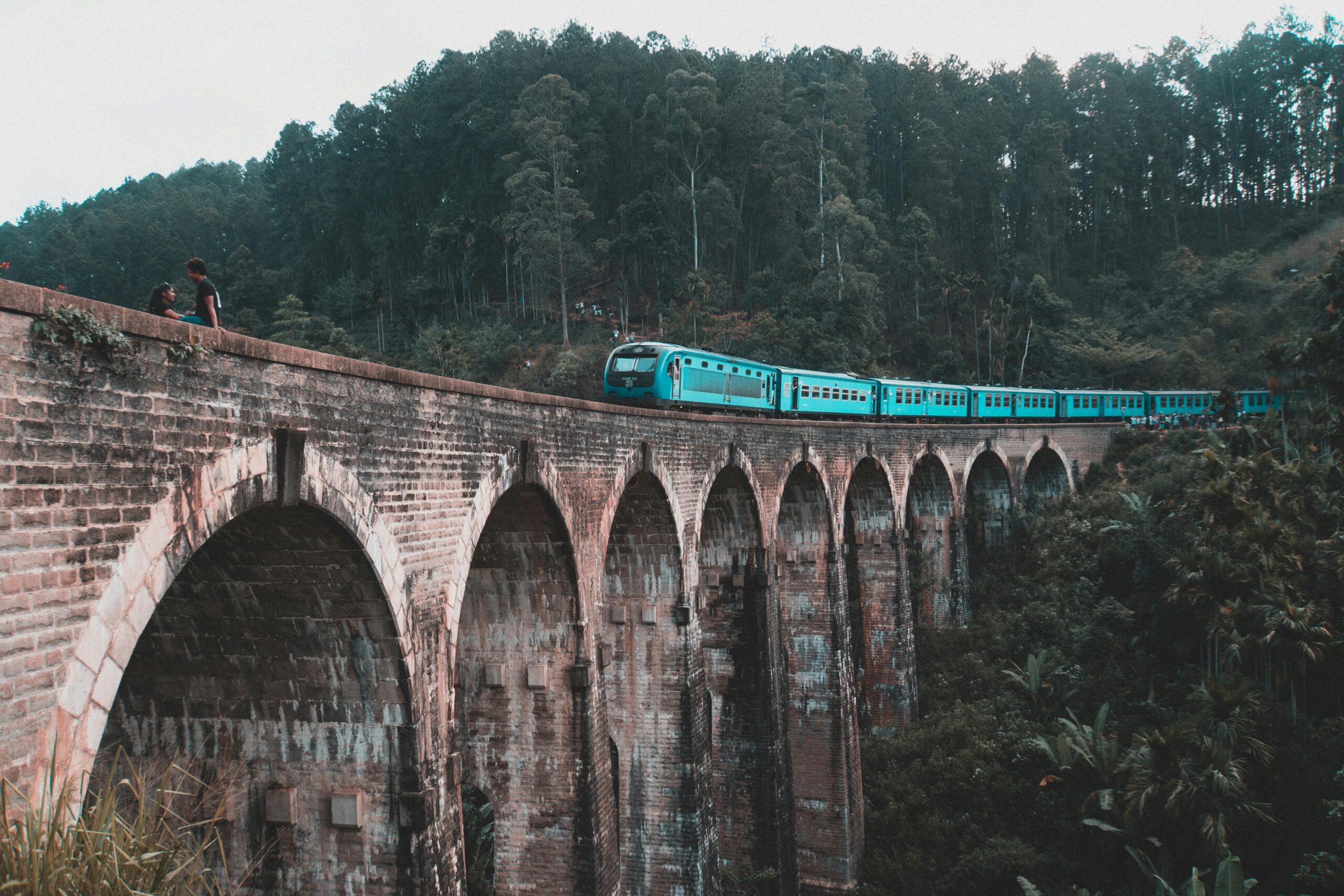pexels-domenicobertazzo-4769075