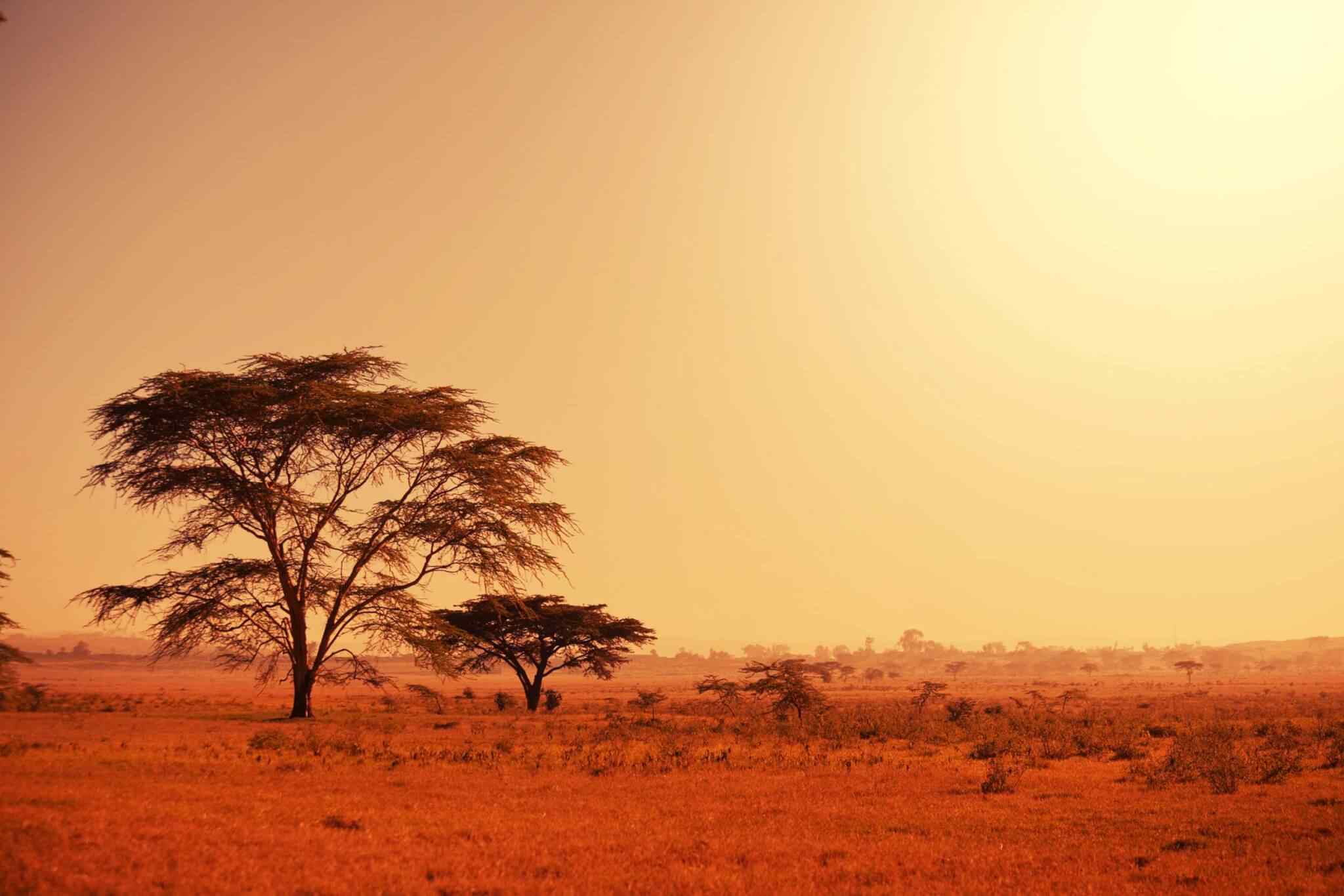 https://visitsrilanka360.com/wp-content/uploads/2018/09/tour-africa-02.jpg